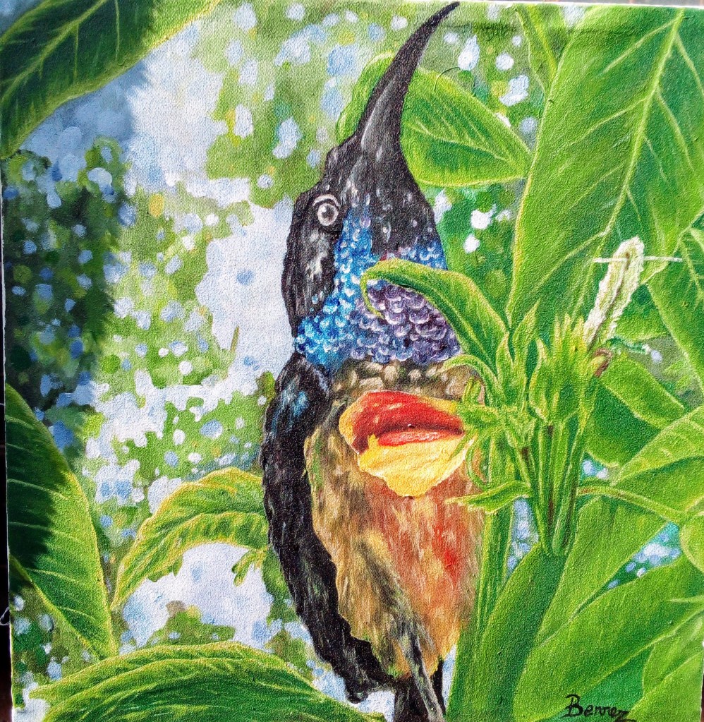 Munezero Benjamin / Bennez, Rwanda wildlife artist wildlife bird